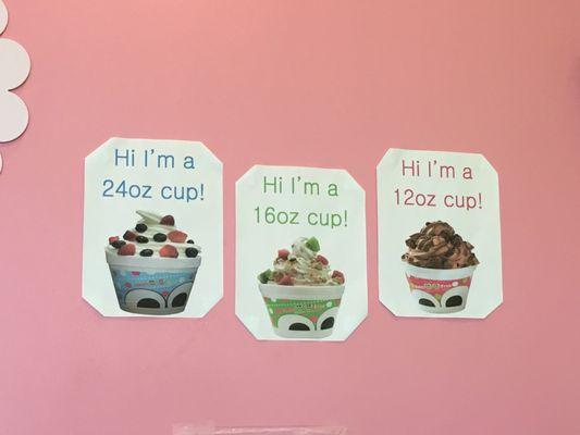 sweetFrog Premium Frozen Yogurt