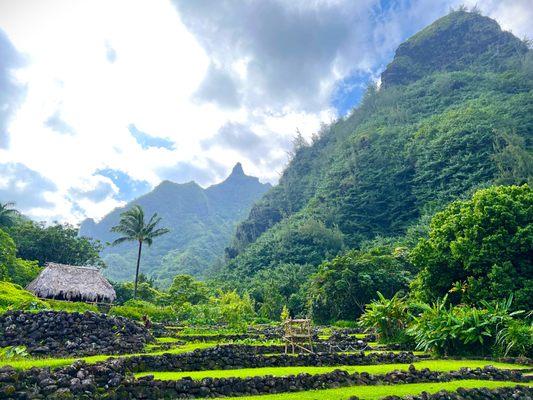 Limahuli Botanical Gardens - Haena, Kaua'i f