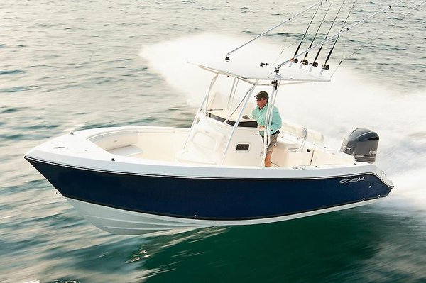 Cobia 237