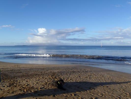 Early morning outrigger paddle