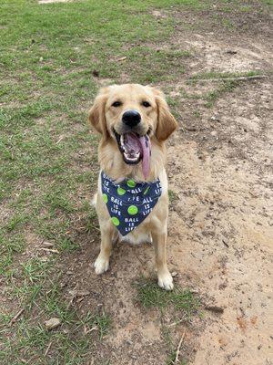 Another bandana