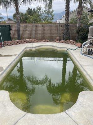 Green Pool!