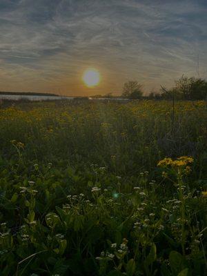 Beautiful sunset over the lake.