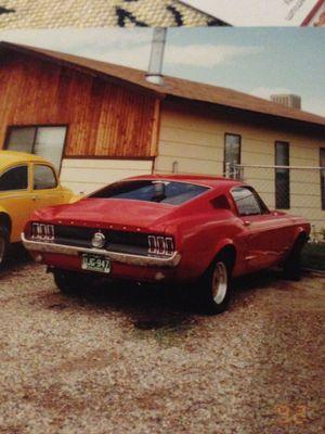 66 bug and 67 fastback past vehicle wash and detail. GJ Colorado