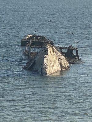 SS Palo Alto Cement Ship wreckage @Seacliff State Beach Aptos CA Sat 8/26/23