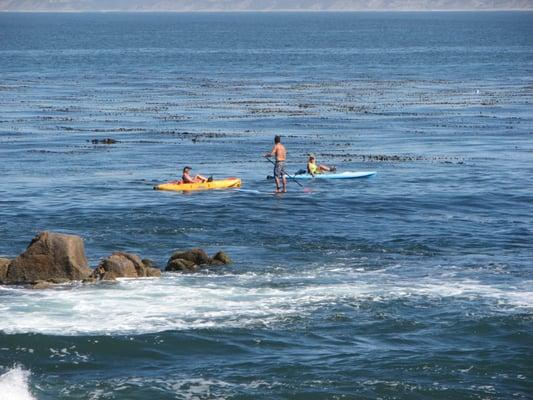 Finish your walk in Monterey