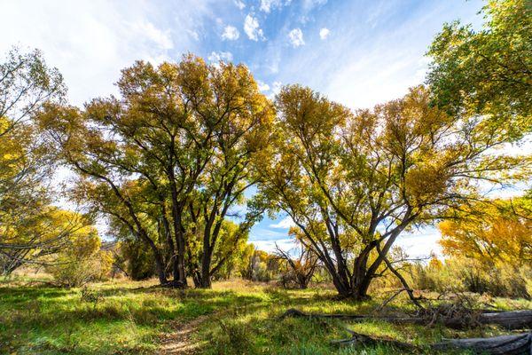 Walking path at Watson Lake in Prescott, Arizona.