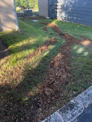 So many leaves hidden in areas by Maldonado landscaping when it rains there is a river of leaves.