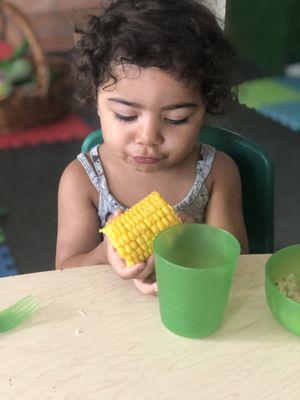 Eating a delicious organic corn