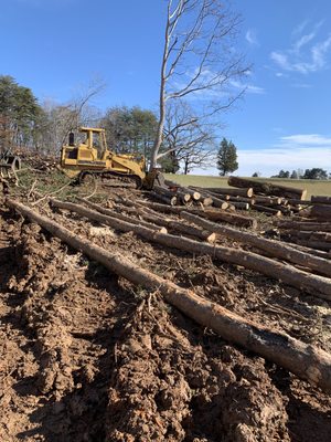 Land clearing