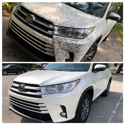 Optic VisionZ Mobile Detailing