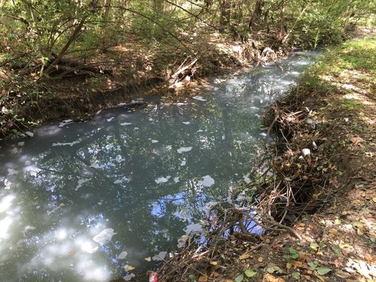 Suds in Williamson Creek after dumping illegal chemical waste 10/7/18