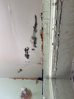 Mold-this room was right next to my kitchen.