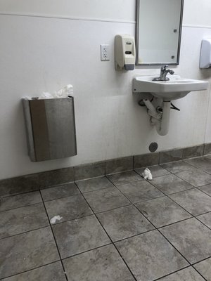 Their nasty bathroom