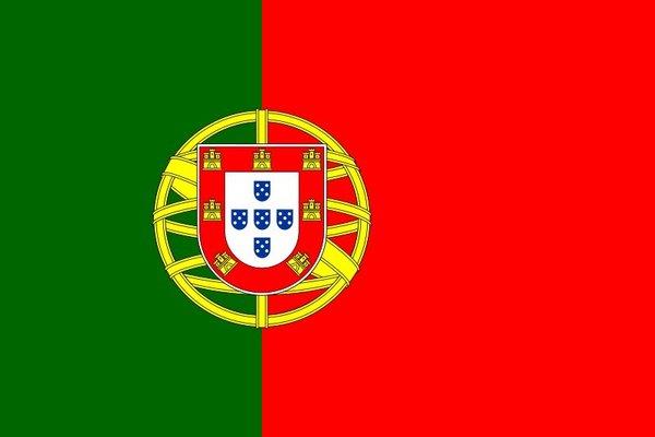 Portuguese Flag. NYC.