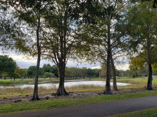 Markham park is a beautiful park!