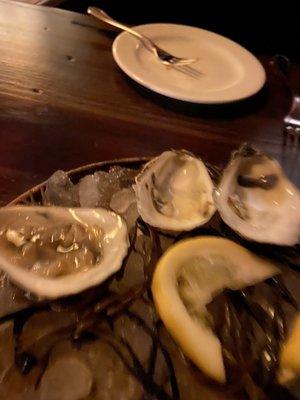 Northeast oysters