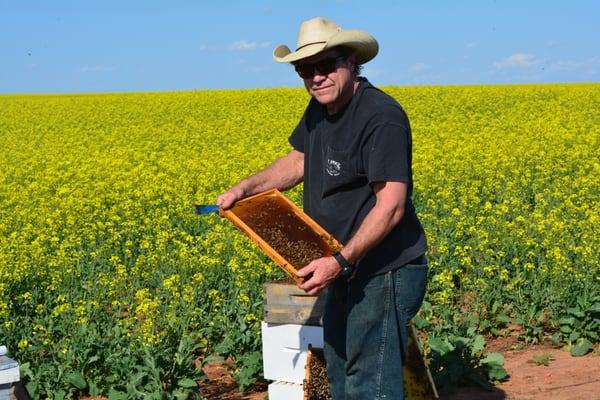 Mark Montgomery Musician and Beekeeper