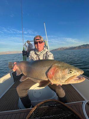 20.3 lbs Lahontan Cutthroat Trout Pyramid Lake Nevada.