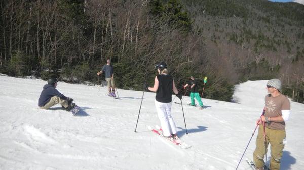 Shark spring skiing.