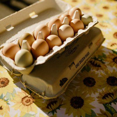 These chicken and duck eggs come from pastured poultry that are supplemented with an organically grown, non-gmo, no soy and no corn feed!