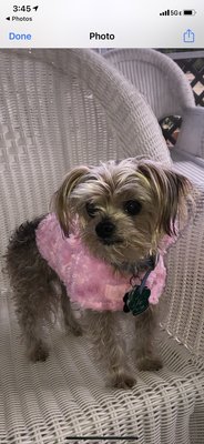 Pretty in pink