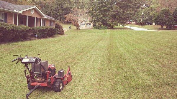 Residential yard service