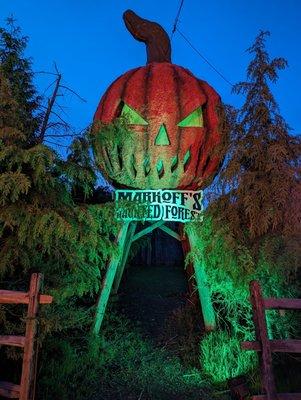 Markoff's Haunted Harbor