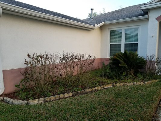 Before & after of the spring pruning & mulching. Great job indeed.