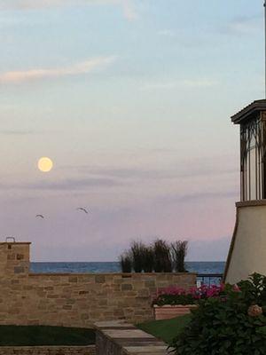 While the sun was setting, the moon was rising and the seagulls were playing with me.  I love living here, let me show you why!