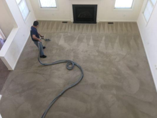 Professional Carpet Cleaning