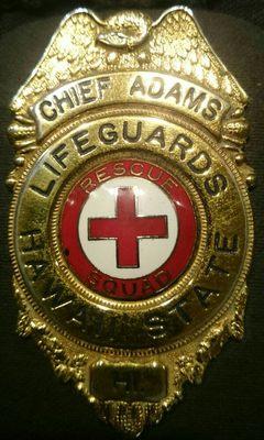 LifeguardsHawaiiState.com Enforcement ID Badge. !