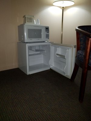 The room comes with a mini-fridge and a microwave.