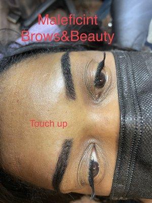 Beautiful Brows