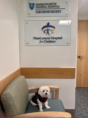 Dr Smallz is a little anxious about his mom being at the  MGH pain clinic. It's OK, little guy, they're here to help!