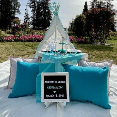 Tiffany Blue & Gems picnic for 2