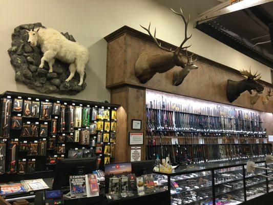 Hunting, fishing, and camping section