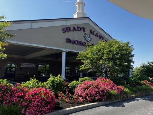 Shady Maple Buffet