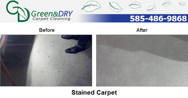 Green & DRY Carpet Cleaning