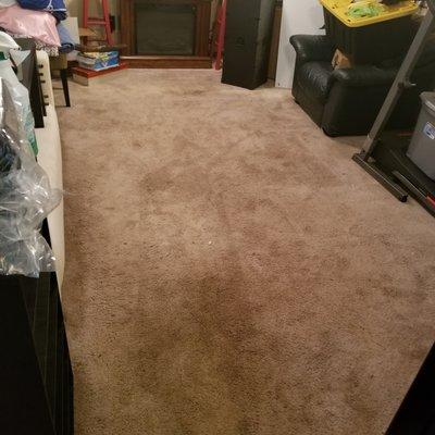 Carpet before cleaning