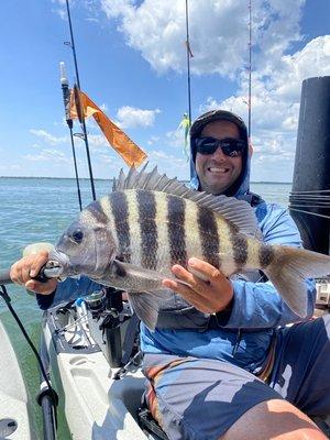 Sheepshead