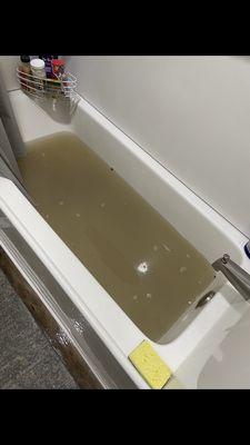 Sewage from all other apartments in my tub left for me to clean.