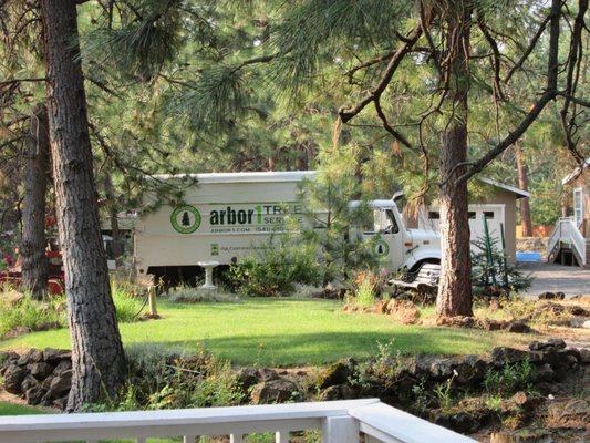 Arbor 1 Tree Service