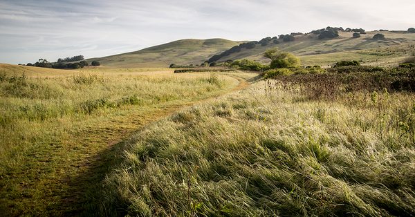 Newell Open Space and Preserve in American Canyon