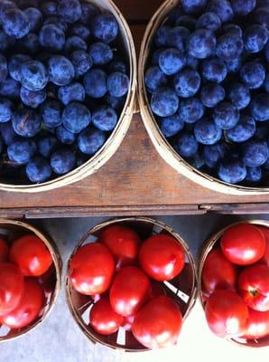 Plums and tomatoes fresh from the orchard.