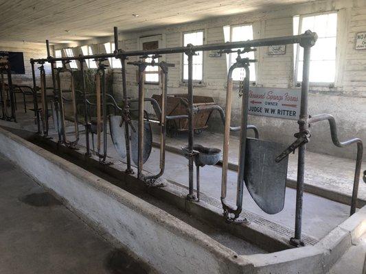 Milking Parlor in barn