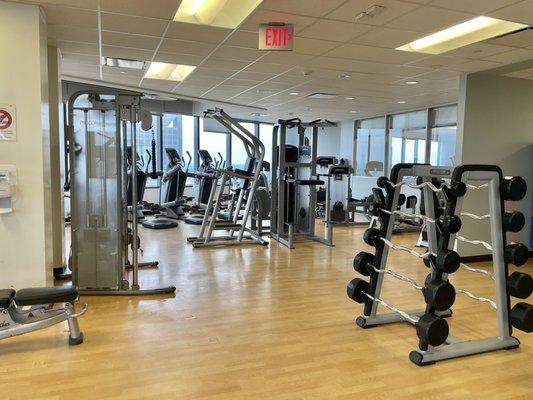 More cardio equipment in the back (elliptical, treadmills)