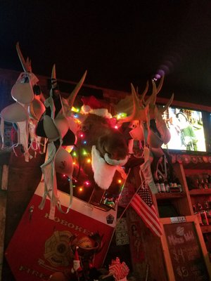 Christmas @ the Moose