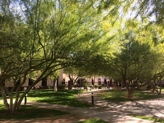 Roman Catholic Diocese of Phoenix