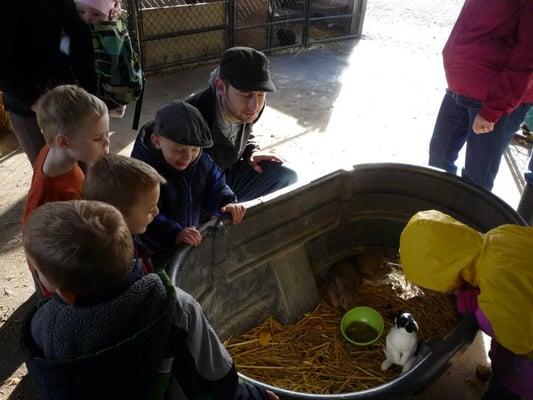 Field trip to the pumpkin patch/farm.